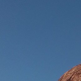 ��������, �������, 36 ���