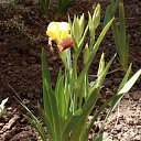 ���� �������, ����, 39 ��� - ��������� 29 ������� 2023 � ������ ���� ����������