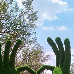 ����, ������, 58 ���