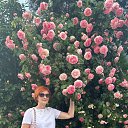 ���� �������, �������� - ��������� 3 ������� 2026