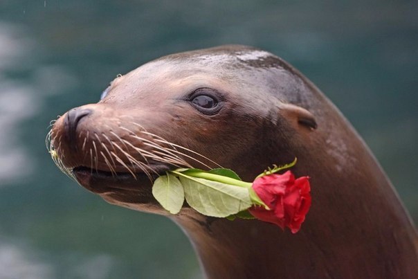 !   !!!   ... <a href=