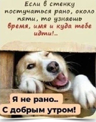 ~~~~~~~~~~~~~~~~~~~~~