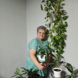 , 54, 