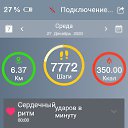 ���� �������, ������, 41 ��� - ��������� 29 ������� 2023 � ������ ���� ����������