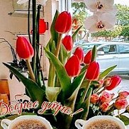 ������, 39 ���, �����