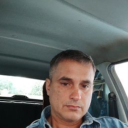 , 53, 