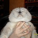 ���� �����, �����-���������, 45 ��� - ��������� 1 ������ 2023 � ������ ���� ����������