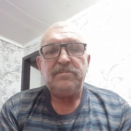 , 66, 