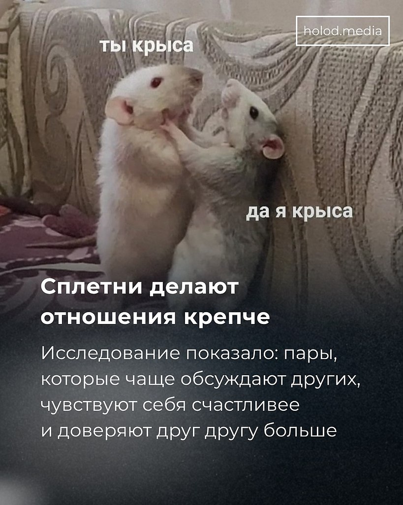 Отправьте своему партнеру, с которым проводите драгоценные 38 минут в день за сплетнями