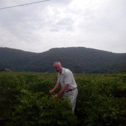 , 61, 