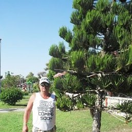 ������, ������� �����, 60 ���