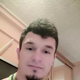 , 29, 