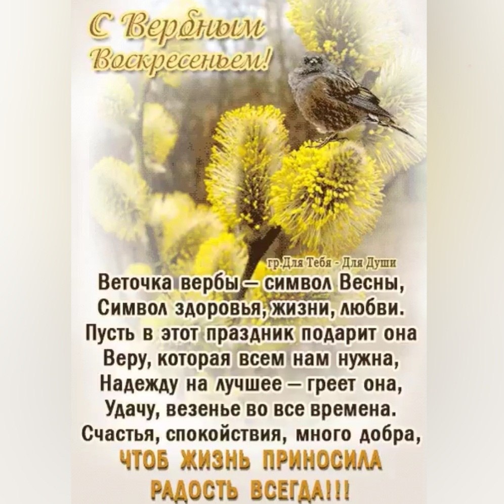  - 13  2025  15:15