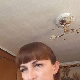, 58, 