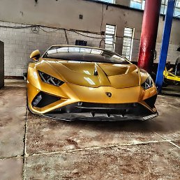 Bilal Saifi, ����, 22 ����