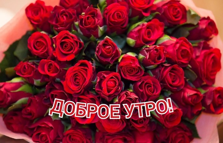   ,    . - 25  2025  22:17