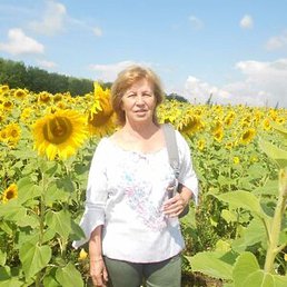 ������, ������, 69 ���