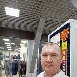 ����, 48 ���, �����������