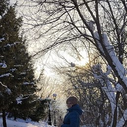 �������, ���, 43 ����