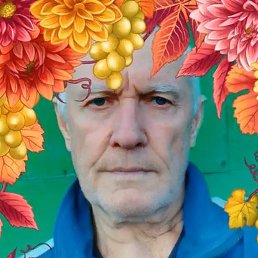 Vitaly, , 76 