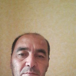 , 50, -
