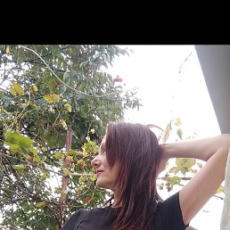 , 55, 