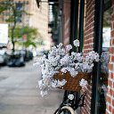 ���� ����, �����-��������� - ��������� 5 ������� 2025