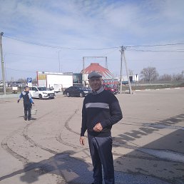 , 65 , 