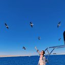 ���� ���������, ������ - ��������� 11 ������� 2026 � ������ ���� ����������