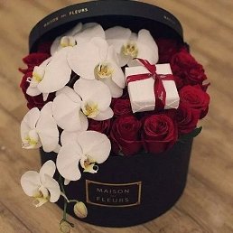 �����, ������, 37 ���