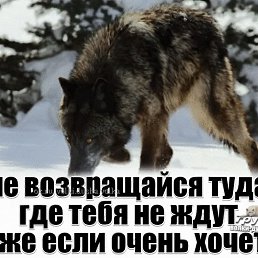 ���� ����, ����������, 45 ��� - ��������� 7 ������� 2024