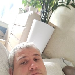 , 37, 