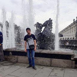 ������, 41 ���, ����