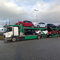 ����, �����, 44 ����