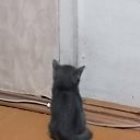 ���� ������, �����, 46 ��� - ��������� 13 ������ 2025 � ������ ������ ��������