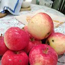 ���� ������, ��������, 58 ��� - ��������� 26 ������� 2026