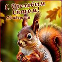 ���� Zv ����� ����� ���������!!! V, ����� - ��������� 29 ������� 2026 � ������ ������ ��������