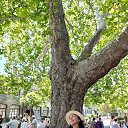 ���� �����, ���������, 51 ��� - ��������� 14 ������ 2026