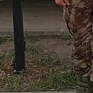 ������, 49 ���, �����-���������