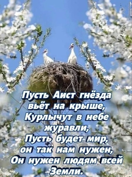  - 24  2025  10:25