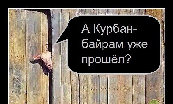  - 21  2025  18:07
