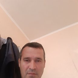 , 57, 