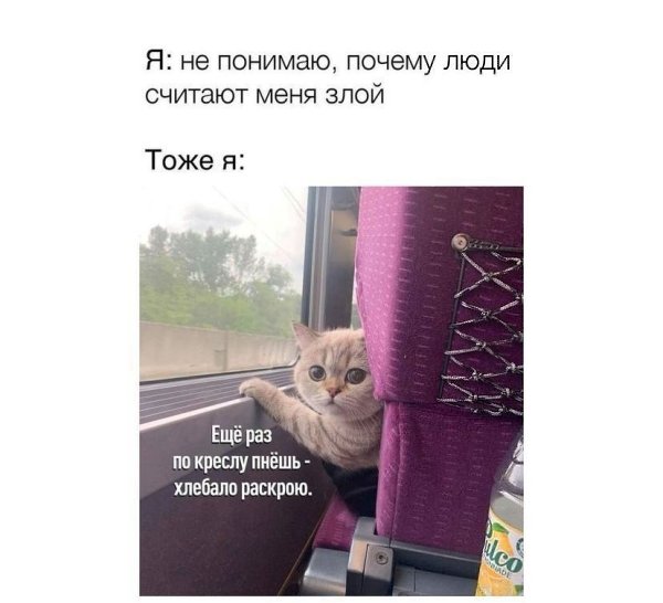    - 28  2024  16:29