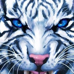 ����, �����������, 43 ����