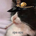 ���� ���, ������, 27 ��� - ��������� 23 ������ 2024 � ������ ���� ����������