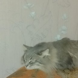 ���� �������, ������, 46 ��� - ��������� 3 ������� 2024