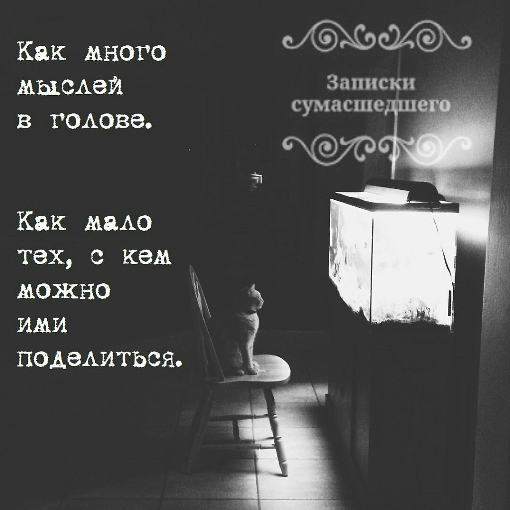 ������������ �� �������... - 26 ������� 2025 � 16:05