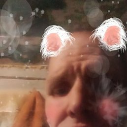 �������, ������, 46 ���