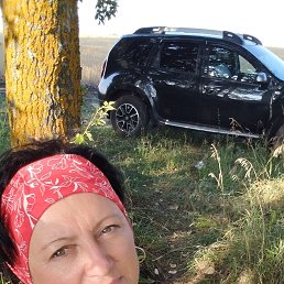, 54, 