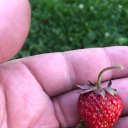 ���� ����, ������, 40 ��� - ��������� 6 ������ 2026 � ������ ���� ����������